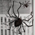 Halloween black giant spider