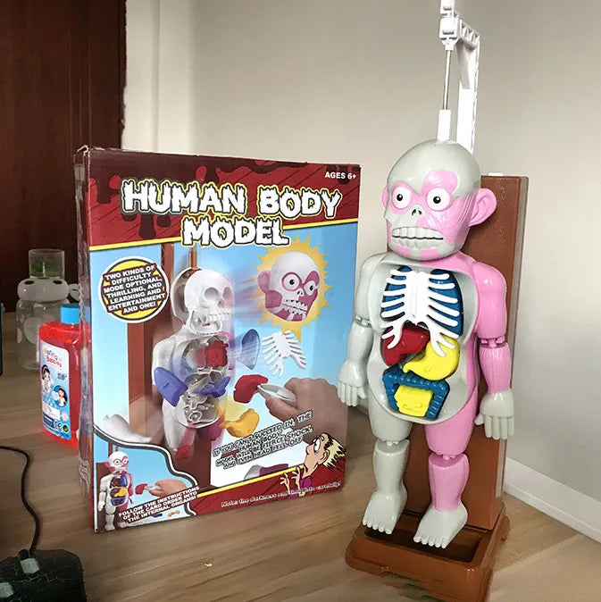 ☠️Mannequin Eject Educational Toy 🎁