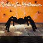 Halloween black giant spider