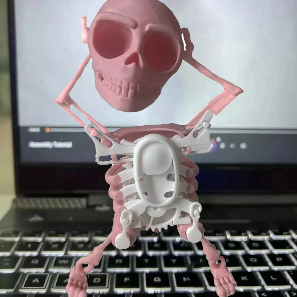 Dancing and Swinging 3D Skull Toy🎉