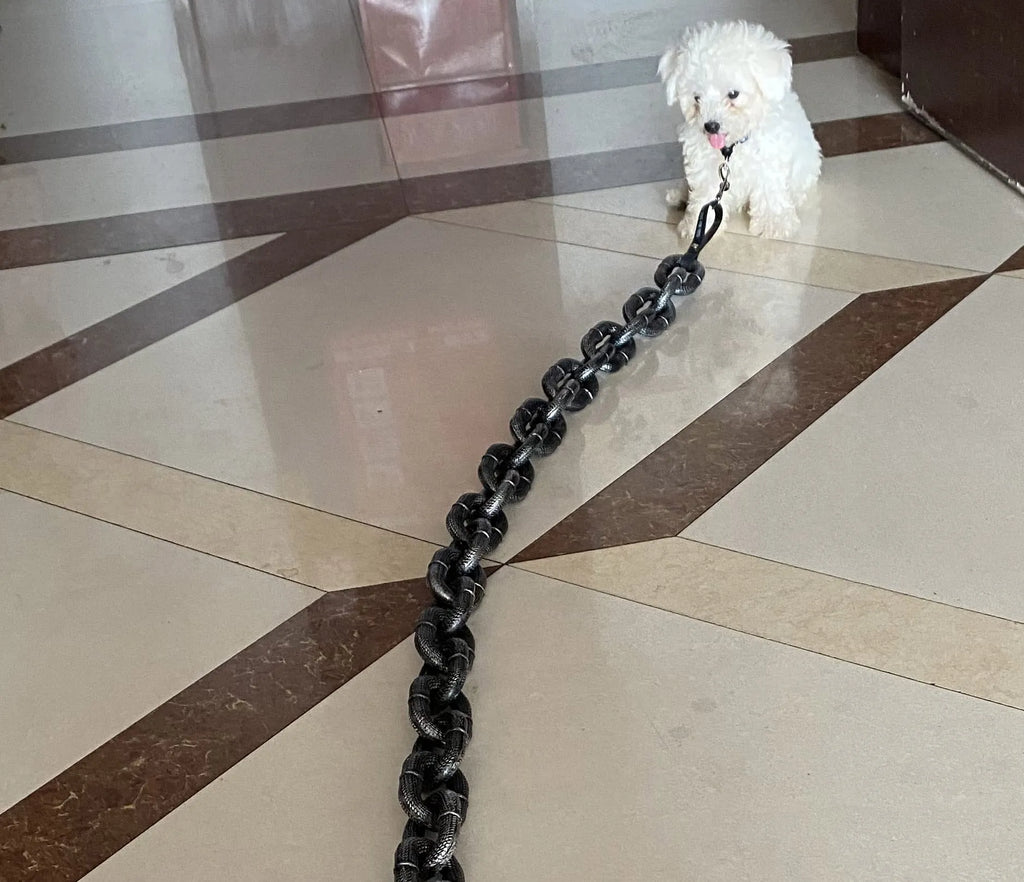 🐶The Chain Paws - Funniest Pet Chain🔒