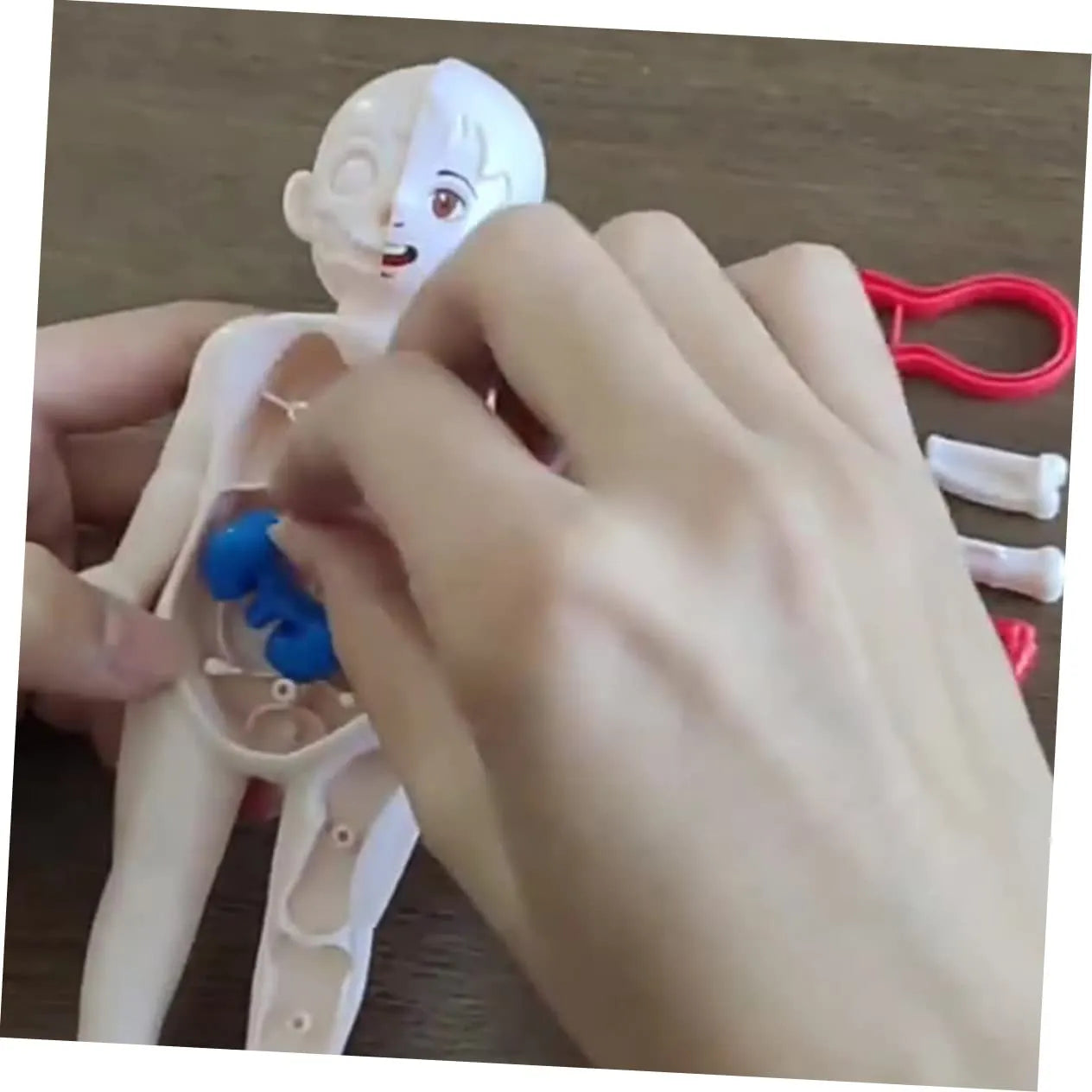 ☠️Mannequin Eject Educational Toy 🎁