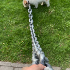 🐶The Chain Paws - Funniest Pet Chain🔒