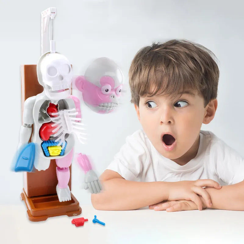 ☠️Mannequin Eject Educational Toy 🎁