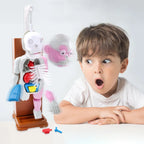 ☠️Mannequin Eject Educational Toy 🎁