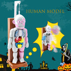 ☠️Mannequin Eject Educational Toy 🎁
