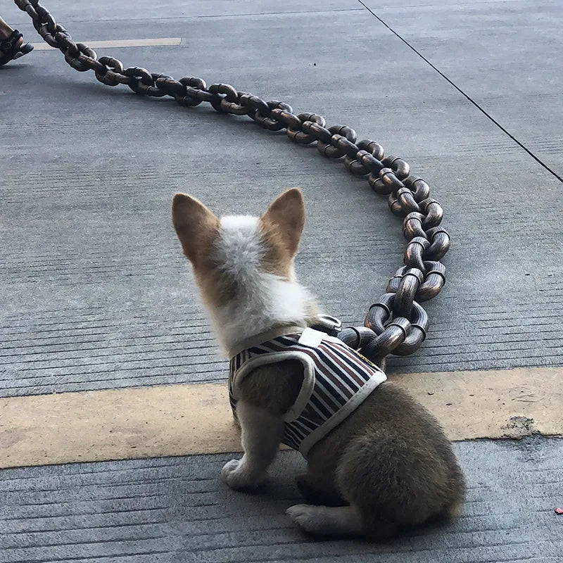 🐶The Chain Paws - Funniest Pet Chain🔒