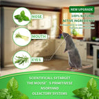 12 Pack Peppermint Pest Repellent Balls - Mice Rats Spiders Gone! 🌿