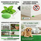 12 Pack Peppermint Pest Repellent Balls - Mice Rats Spiders Gone! 🌿