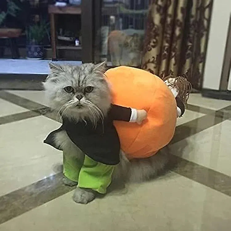 Dog & Cat Pumpkin Halloween Costume
