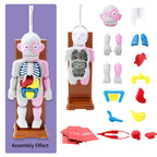 ☠️Mannequin Eject Educational Toy 🎁