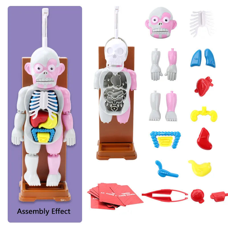 ☠️Mannequin Eject Educational Toy 🎁