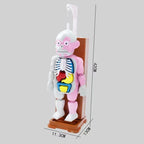 ☠️Mannequin Eject Educational Toy 🎁