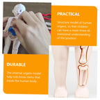 ☠️Mannequin Eject Educational Toy 🎁