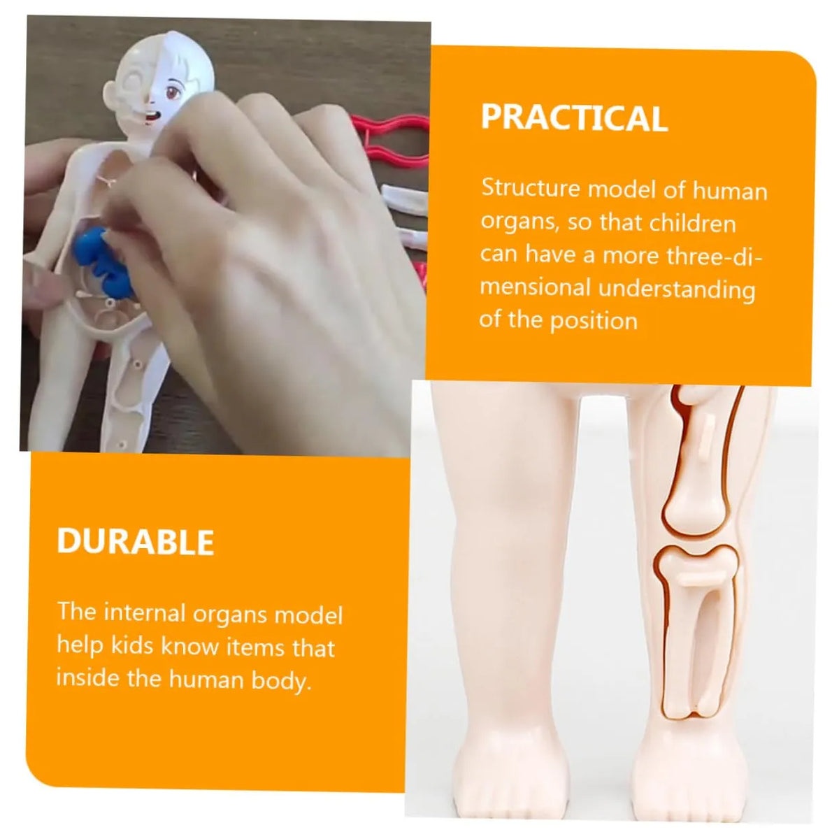 ☠️Mannequin Eject Educational Toy 🎁