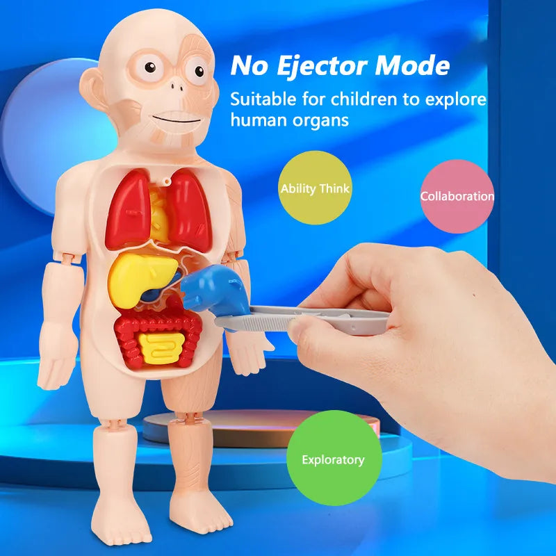 ☠️Mannequin Eject Educational Toy 🎁